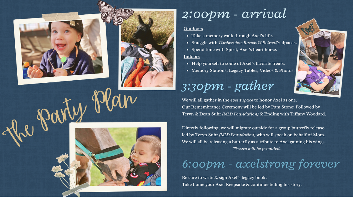 A digital preview of a custom memorial 'Party Plan' webpage template for Axel, featuring a dark blue background with gold and light blue text, photos of a child and horse, and a butterfly release photo.