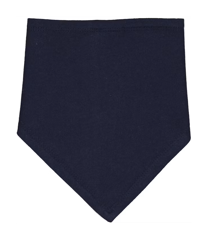 Axel Inspired Bandana Bib